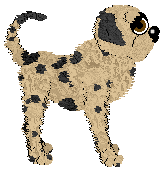 Chachke's Cherries by the River — “Birdie”