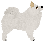 Czeko's Snowy Day — “Pola”