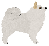 Czeko's Mount Everest — “Polaris”