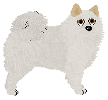 Profile image of Czeko's Mount Everest