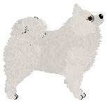 Czeko's Nanga Parbat — “Laura”