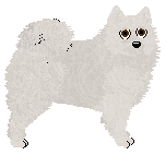 Profile image of Czeko's Nanga Parbat