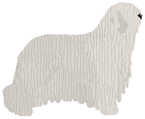 Lastryko YOUNG AND A MENACE — “Mania”