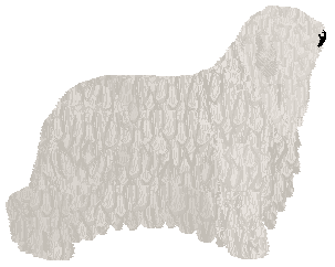 Lastryko FALL OUT GIRL — “Laska”