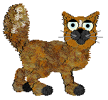 Chachke's The Man @ Mockingbird — “Attention”