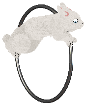 USZAKI Pierwszy Tego Imienia — “Mieszko”