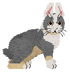 USZAKI Special Delivery — “Znaczek”