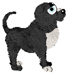 Sungraze/Witz's Coastal Settlement — “Barra”