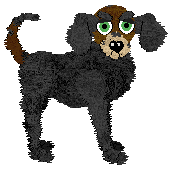 LF/Witz's A Delicious Loaf — “Beer Bread”