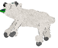 Pendragon's Little Mountain Goat — “Sasha”