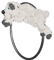 Pendragon's Little Mountain Goat — “Sasha”