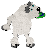 Pendragon's Little Mountain Goat — “Sasha”