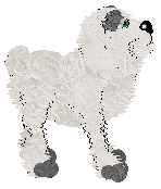 Pendragon's Little Mountain Goat — “Sasha”