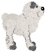 Pendragon's Little Mountain Goat — “Sasha”