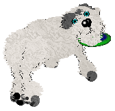 Pendragon's Little Mountain Goat — “Sasha”