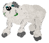 Pendragon's Little Mountain Goat — “Sasha”