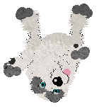 Pendragon's Little Mountain Goat — “Sasha”