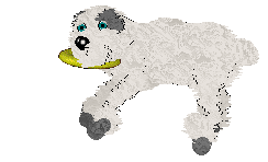 Pendragon's Little Mountain Goat — “Sasha”