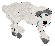 Pendragon's Little Mountain Goat — “Sasha”