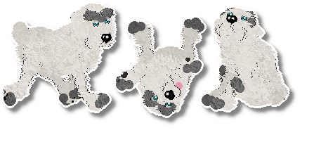 Profile image of Pendragon's Little Mountain Goat