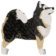 Hasten's Panderp Kween — “Panderp”