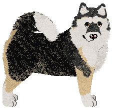 Profile image of Hasten's Panderp Kween