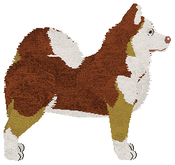 Hasten's Kingo-matic — “Kingo”