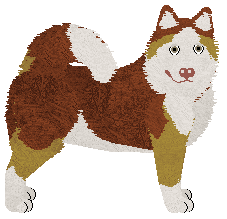 Profile image of Hasten's Kingo-matic