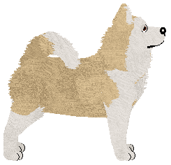 DeeOhGee Land of Imagination — “Neverland”