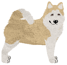 Profile image of DeeOhGee Land of Imagination