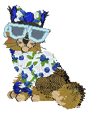 Calluna's Smashing and Dashing at Medusa — “Azula”