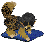 Calluna's Smashing and Dashing at Medusa — “Azula”