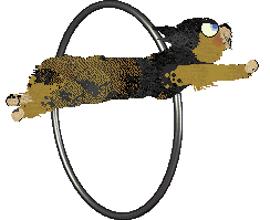 Calluna's Smashing and Dashing at Medusa — “Azula”