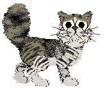 Calluna's Specifically Splendid at Medusa — “Aaliyah”