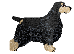 Dragosani DEMOGORGON at Peregrine — “Demi”