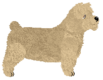 Lustre Radiant Beauty — “Aoife”