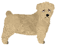 Profile image of Lustre Radiant Beauty