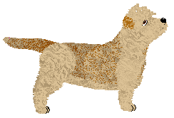 Lustre Preserved Oaken Strength — “Darragh”