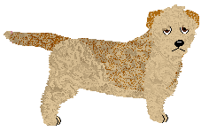 Profile image of Lustre Preserved Oaken Strength