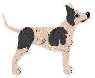 Lustre Corinthian Columns — “Corinth”