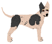 Profile image of Lustre Corinthian Columns