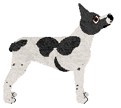 Lustre Zero to Hero Hercules Beetle — “Hercules”