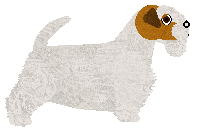 Lustre Barely A Chili — “Paprika”