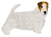 Profile image of Lustre Barely A Chili