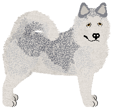 Hasten's Amusingly Unconventional — “Zany”