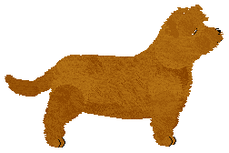 Lustre Greatest Poet — “Oisin”