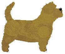 Lustre Freedom in the Sea — “Saoirse”