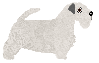 Lustre Essential by Whom — “Sage”