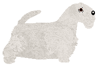 Lustre Roman Temple Aromatic — “Thyme”