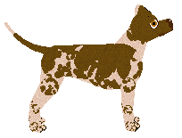 Lustre Like A Demon — “Sparta”